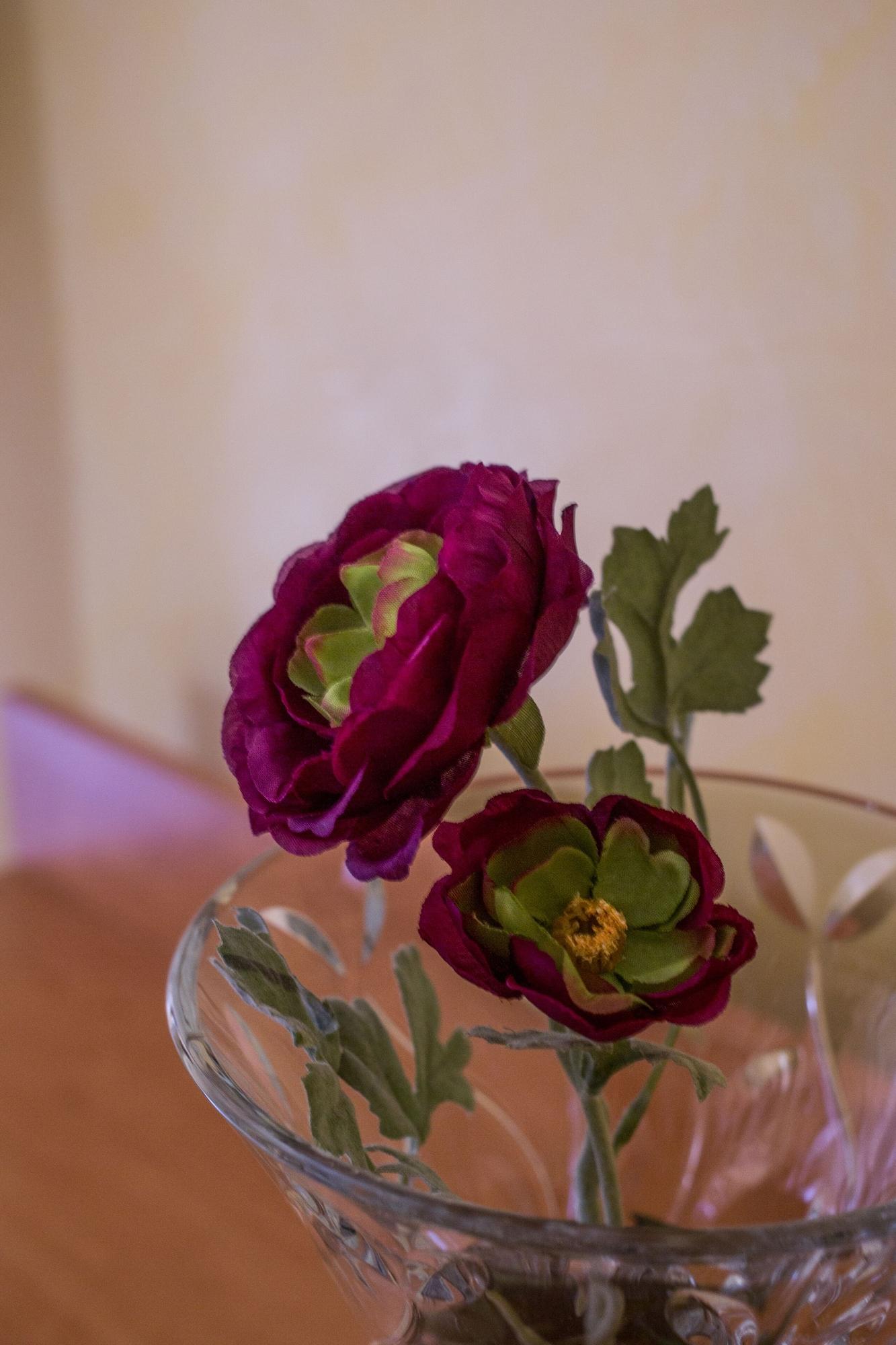 Hotel Angelica Florence Extérieur photo